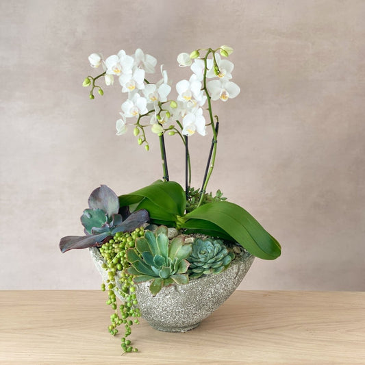 Ribera Orchid Garden - Carmel Gardens